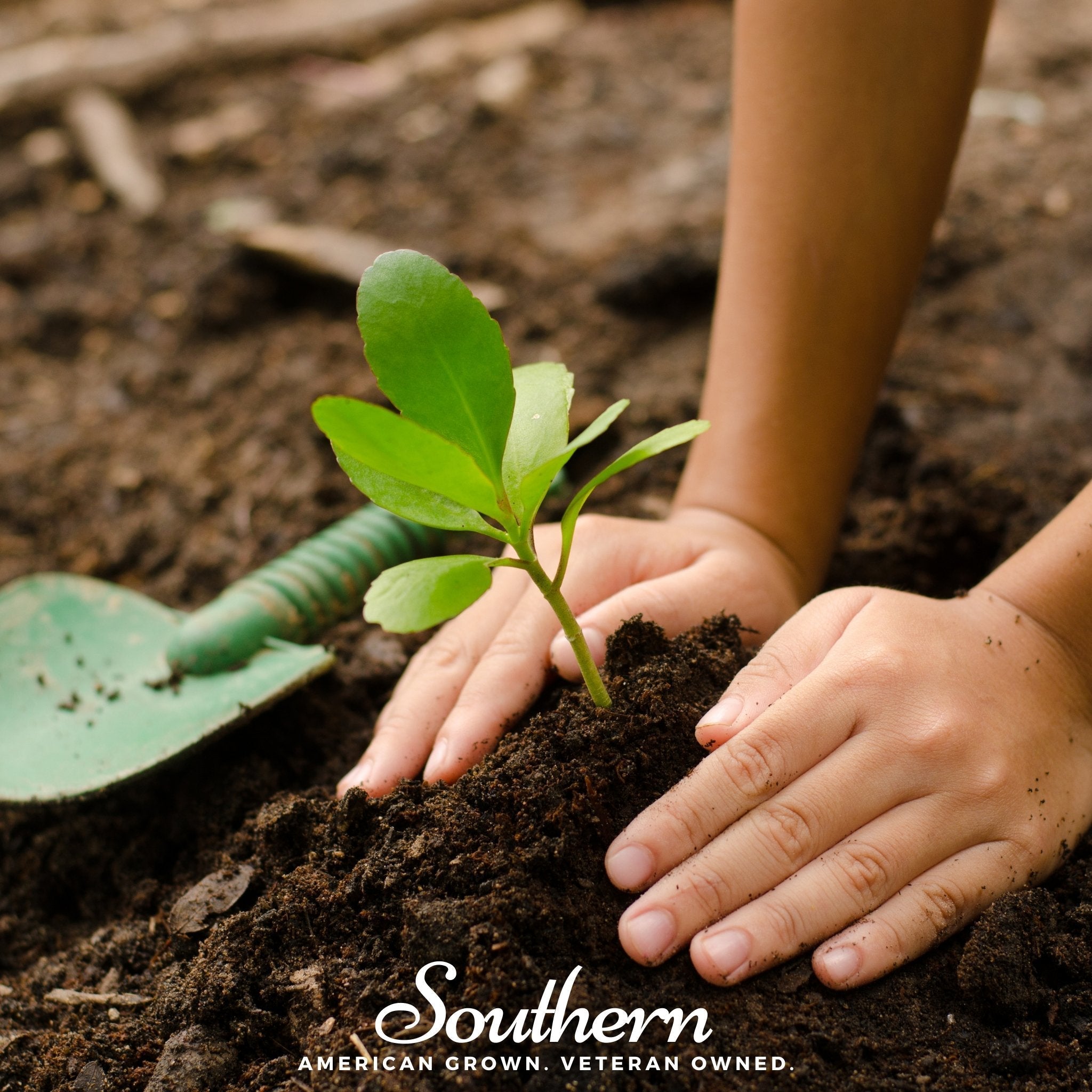 Children's Garden Seed Collection – 10 Varieties