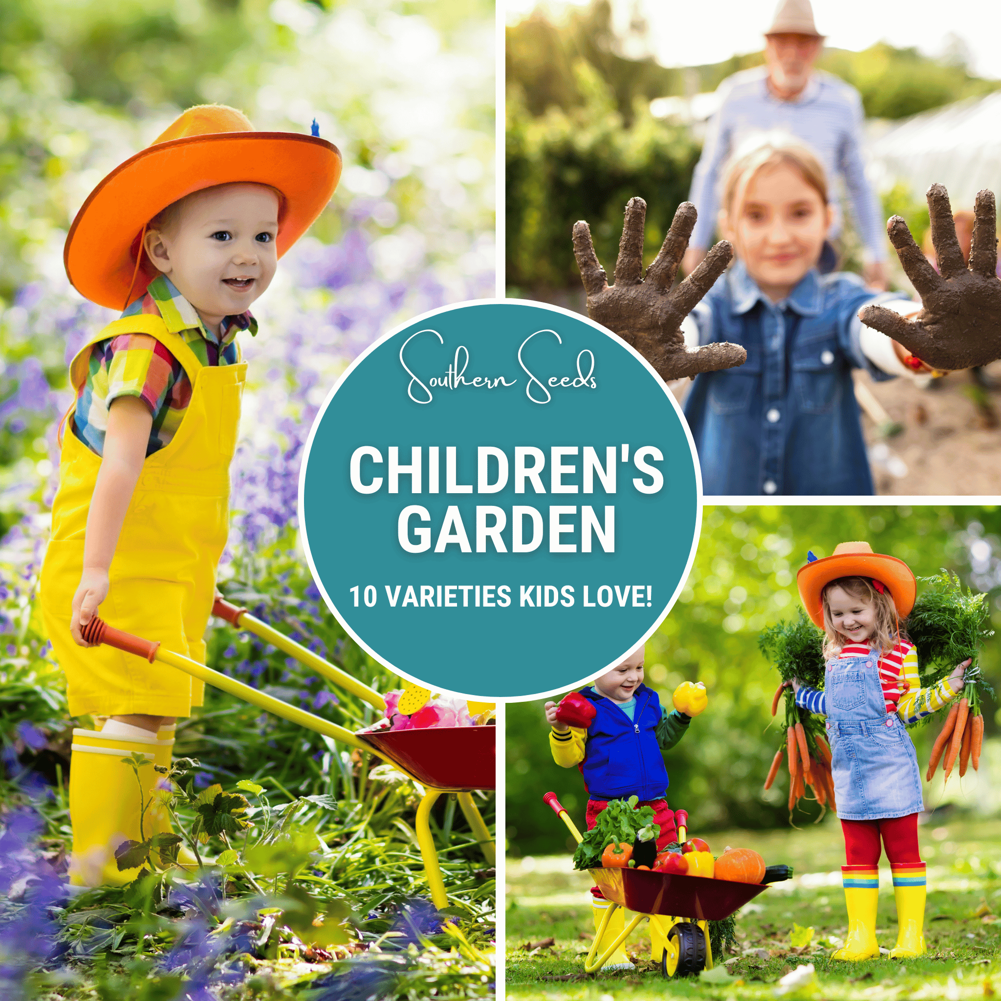 Children's Garden Seed Collection – 10 Varieties