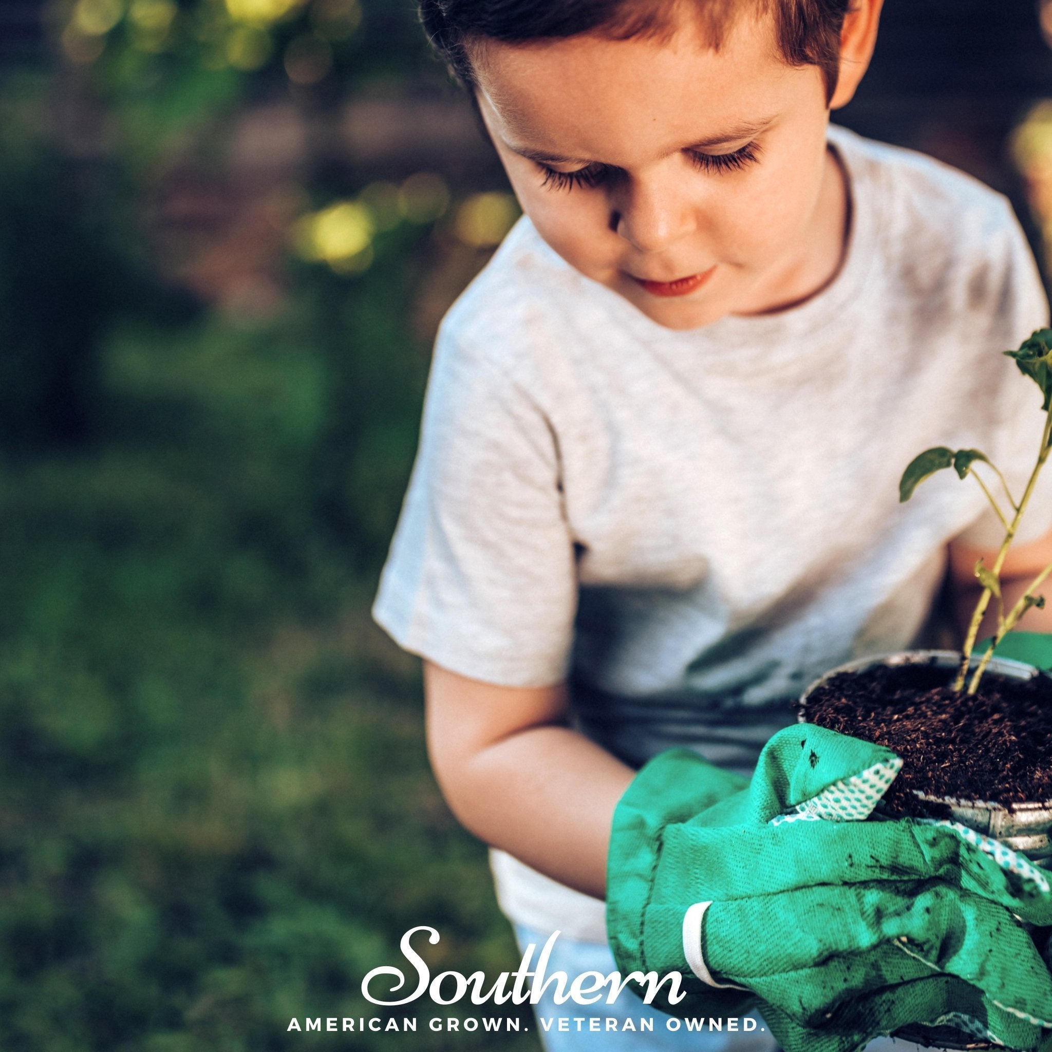 Children's Garden Seed Collection – 10 Varieties