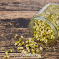 Mung Beans Sprout – 500 Seeds