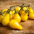 Yellow Pear Tomato – 50 Seeds